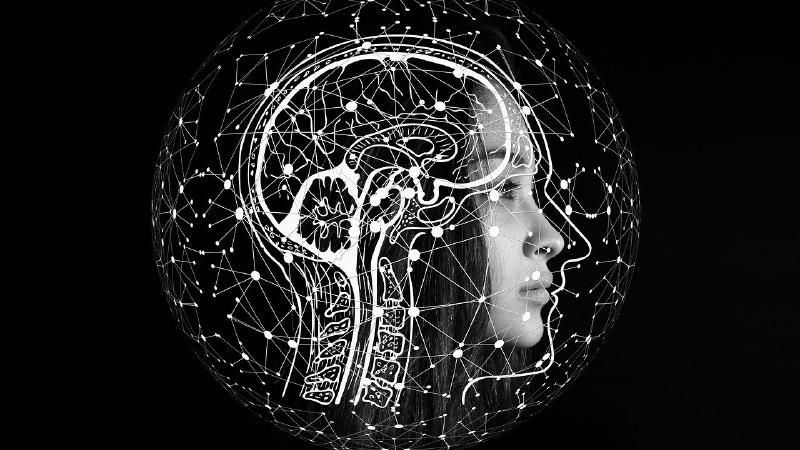 SageMaker AutoML: Simplifying Data Science with Intelligent Automation